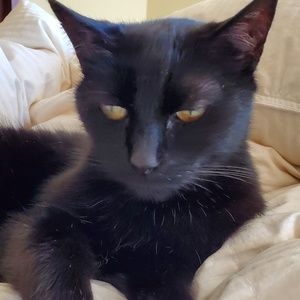 Meet your Posher, Liz